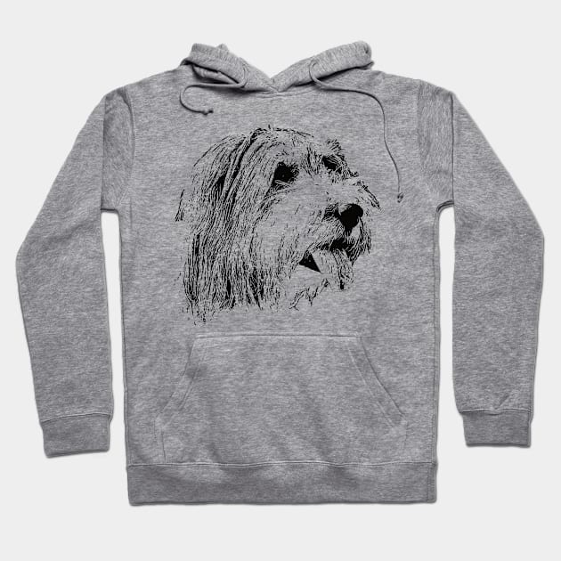 Bearded Collie gift for Collie Owners Hoodie by DoggyStyles